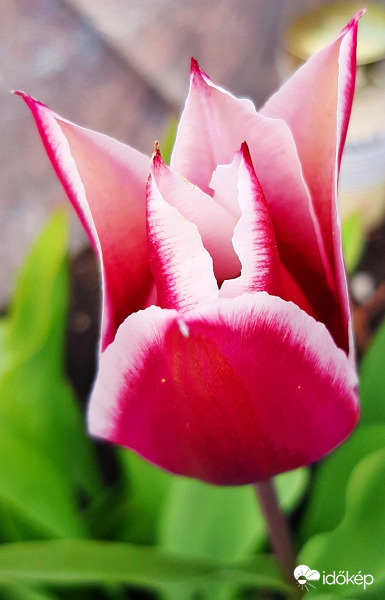 + egy ráadás... :)