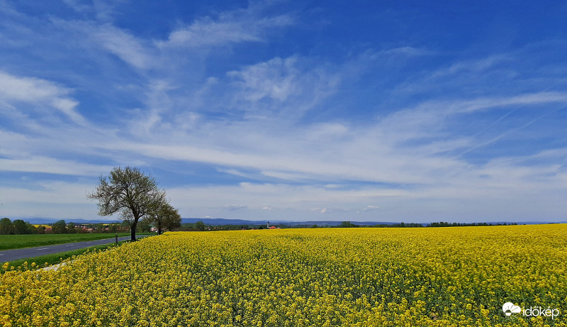 Repcemező cirrusos égbolttal 1. :)