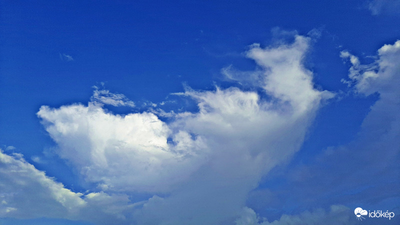 Augusztusi "feltörekvő" 2. :)