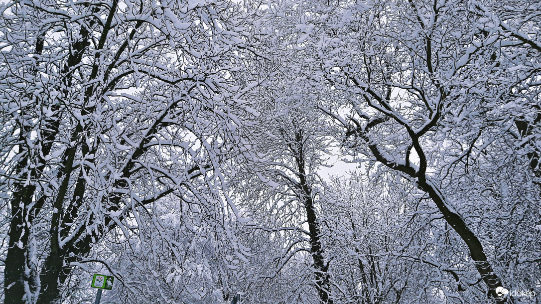 Havas fák a Rák-patak mellett 2. :)
