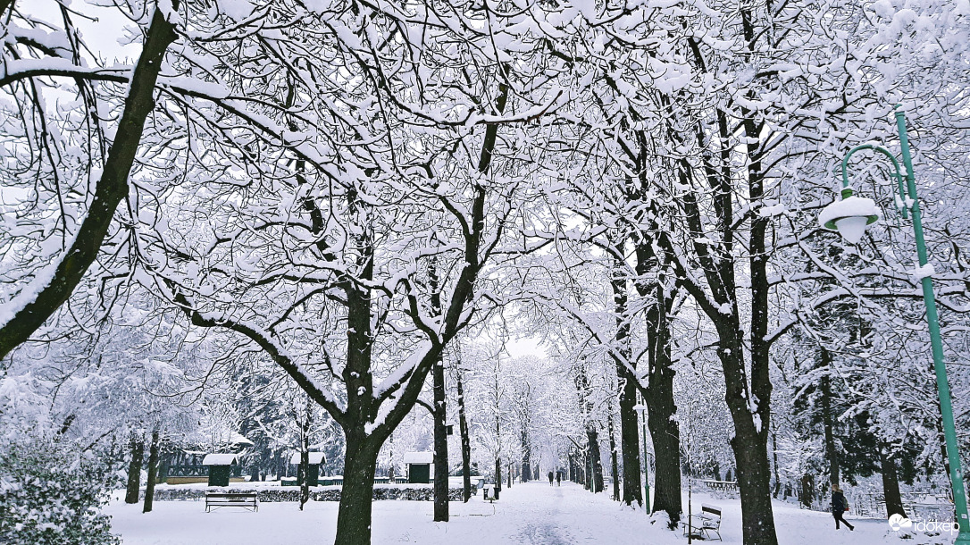 Erzsébet-kert téli ruhában 1. :)