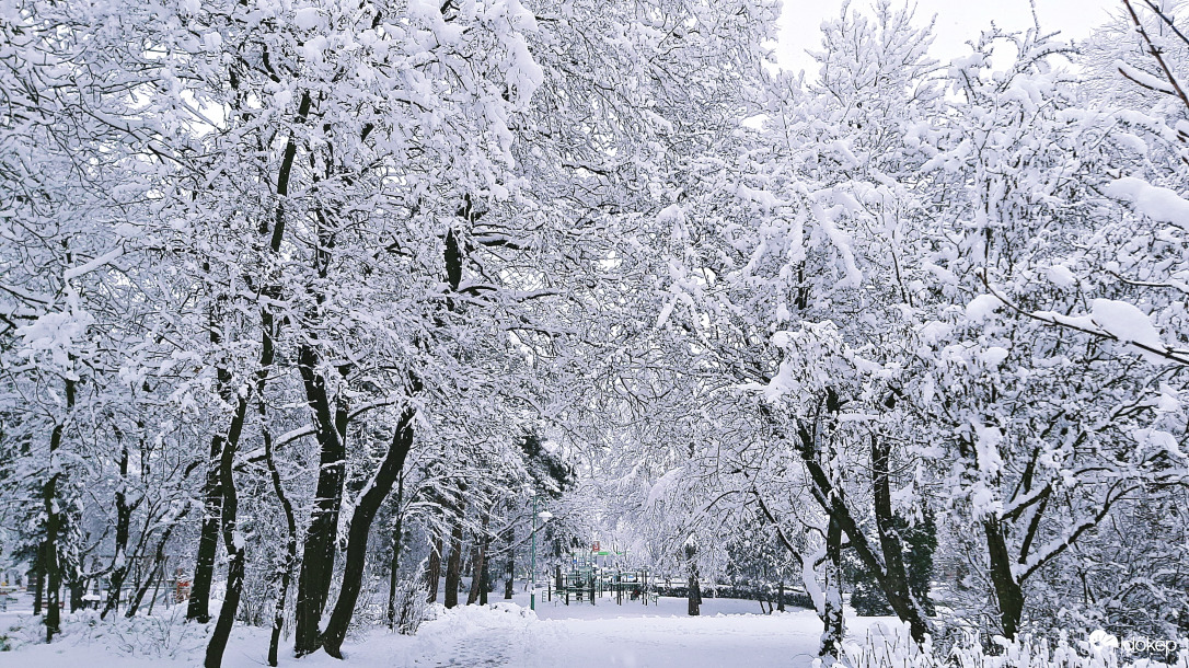 Erzsébet-kert téli ruhában 2. :)