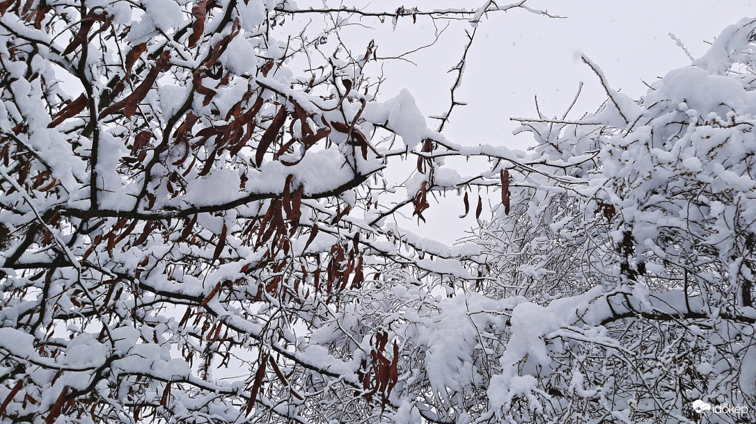 Ágas-bogas-havas :)