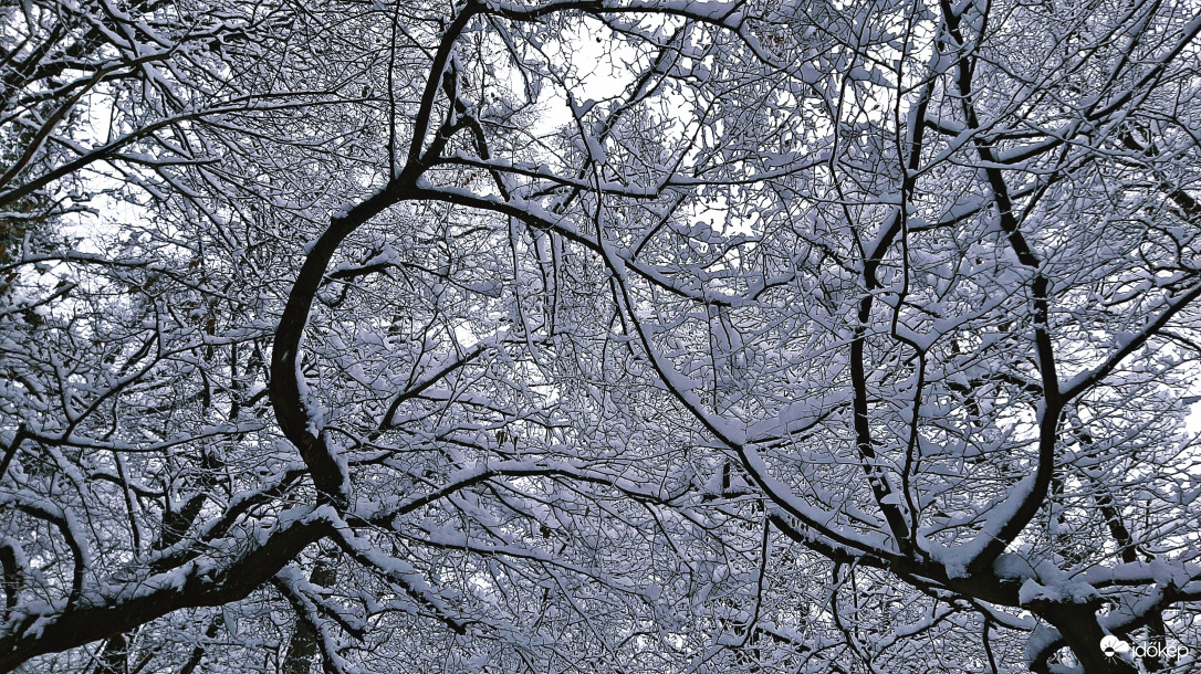 Téli mesevilág a soproni erdőben 2. :)
