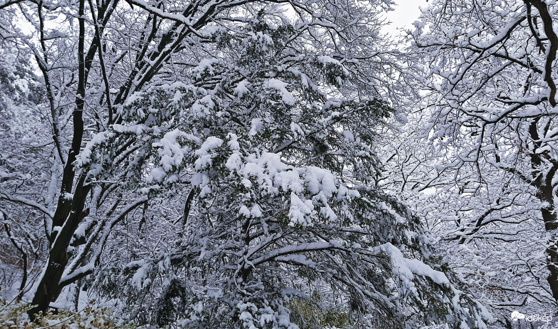 Téli mesevilág a soproni erdőben 3. :)