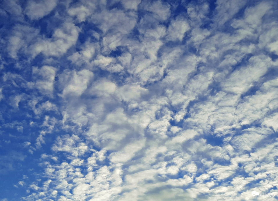 Múlt szombati báránykák :)