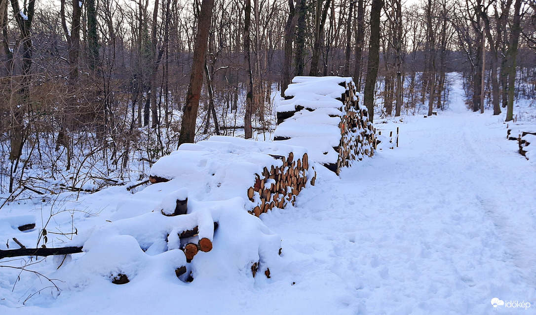Közel 30 cm hó a Soproni Parkerdőben 7. :)