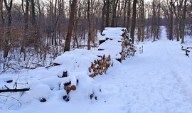 Közel 30 cm hó a Soproni Parkerdőben 7. :)
