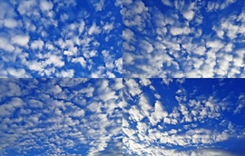 Szürkeség ellen - "kék eges-felhős" január elejéről 1. :)