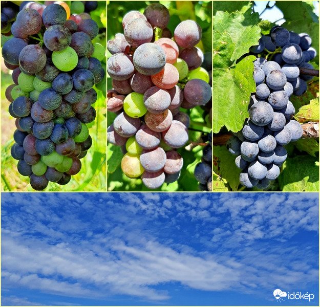 Augusztus végi hangulat... :)