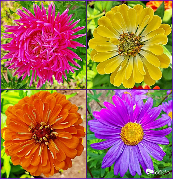 Nyárvégi színkavalkád :)