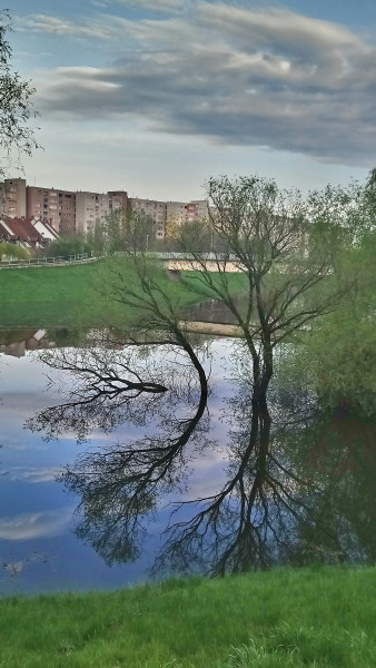 Àradó Zagyvaparton 