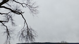 Pápa