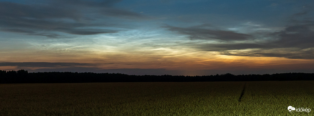 NLC 2026.06.30
