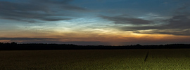 NLC 2026.06.30