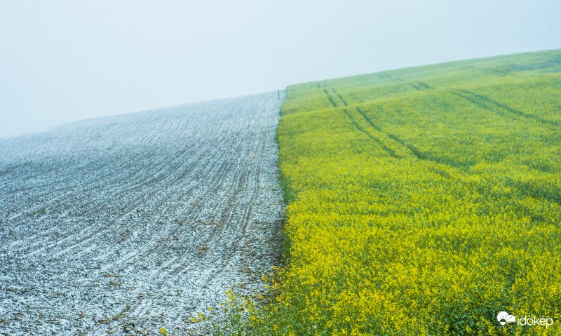 Tavasz vs tél