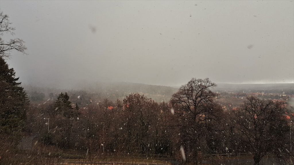 Hózápor a Kőszegi-hegységben 2016.02.05.