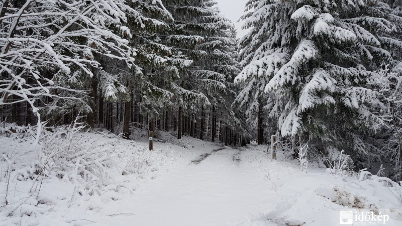 Kőszegi hegység 2016.02.10