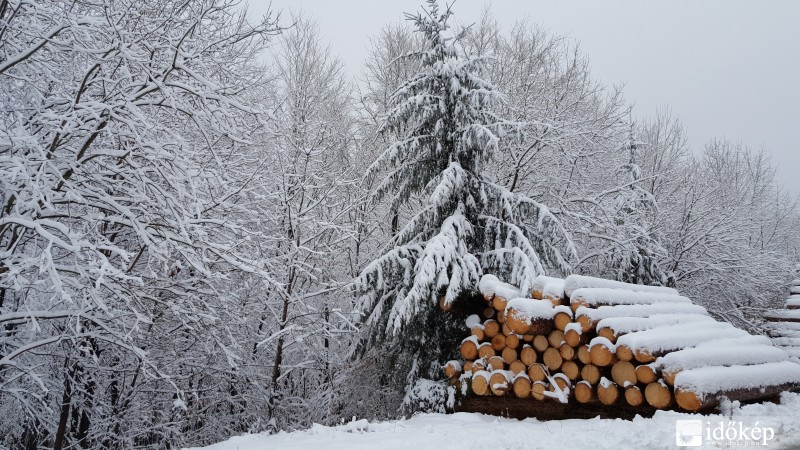 Kőszegi hegység 2016.02.10