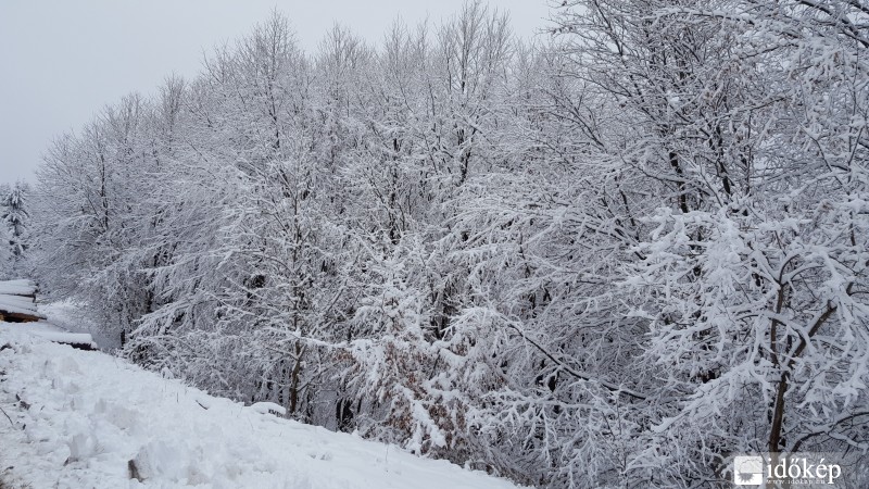 Kőszegi hegység 2016.02.10