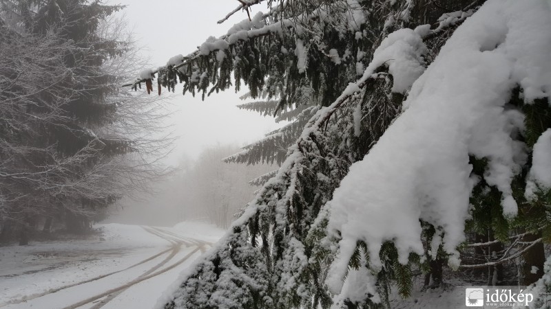 Ma délelőtt a Hörmann forrásnál. 2016.02.13.