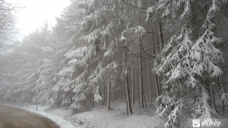 Friss mai kép a Kőszegi-hegységből 2016.03.03.