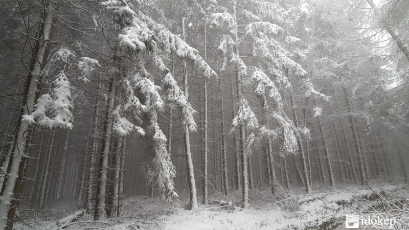 Friss mai kép a Kőszegi-hegységből 2016.03.03.
