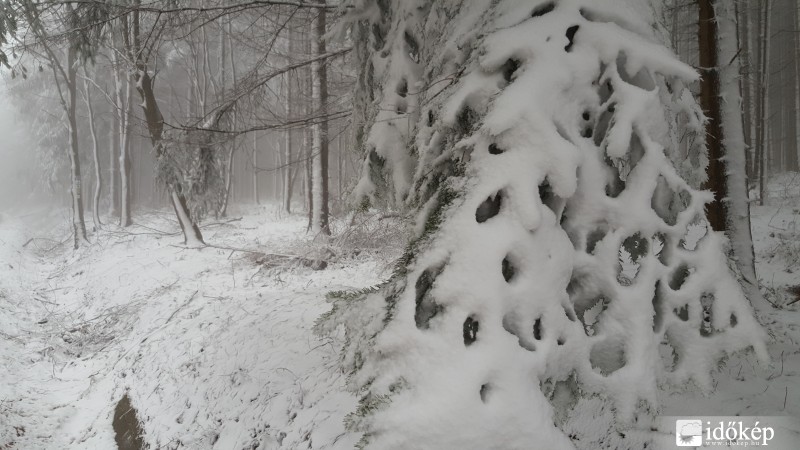 Friss mai kép a Kőszegi-hegységből 2016.03.03.