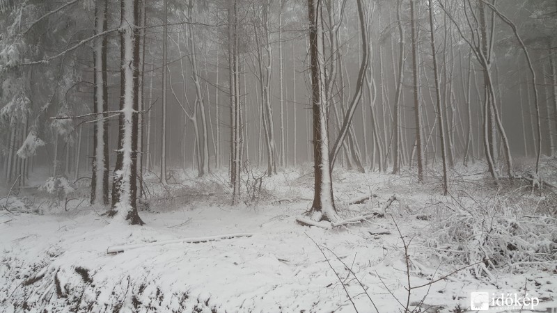 Friss mai kép a Kőszegi-hegységből 2016.03.03.
