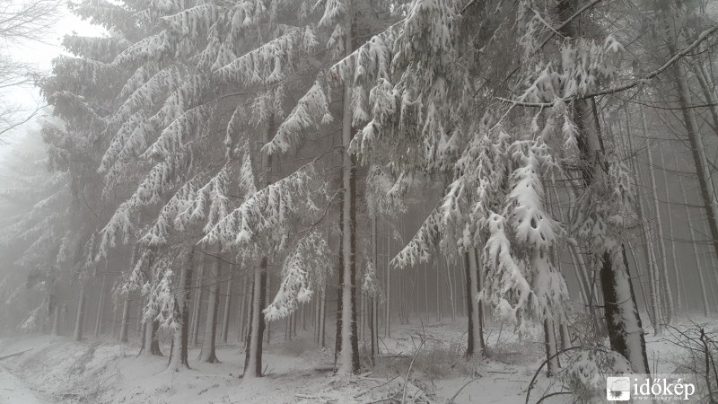 Friss mai kép a Kőszegi-hegységből 2016.03.03.