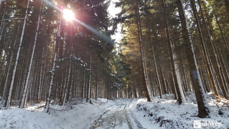 2016.03.04. Kőszegi-hegység (Hörmann-forrás környéke)