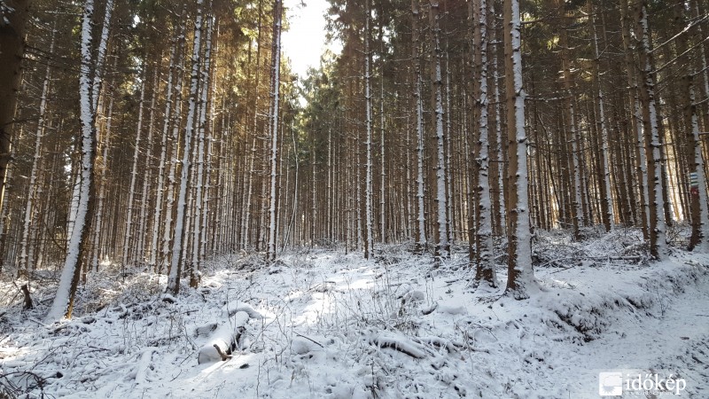 2016.03.04. Kőszegi-hegység (Hörmann-forrás környéke)