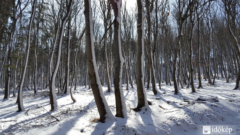 2016.03.04. Kőszegi-hegység (Hörmann-forrás környéke)