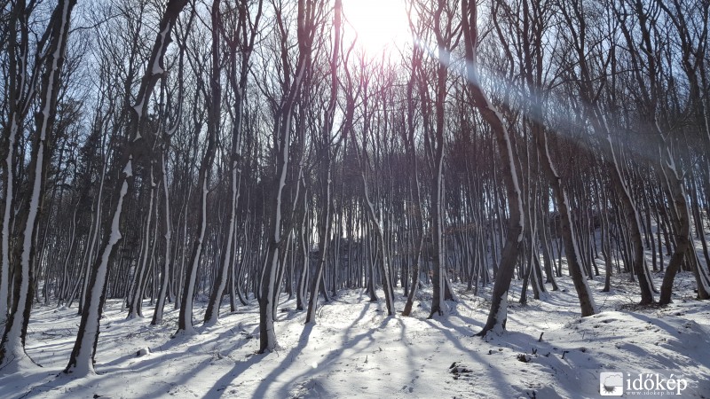 2016.03.04. Kőszegi-hegység (Hörmann-forrás környéke)