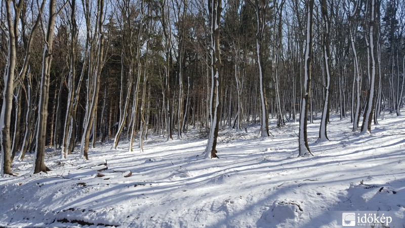 2016.03.04. Kőszegi-hegység (Hörmann-forrás környéke)