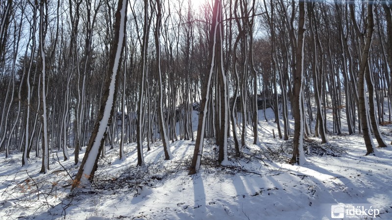 2016.03.04. Kőszegi-hegység (Hörmann-forrás környéke)