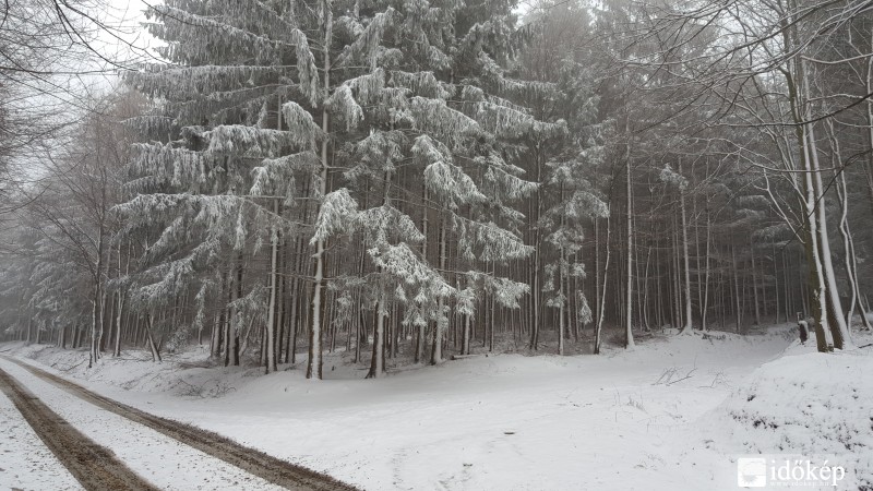 2016.03.07. Kőszegi-hegység