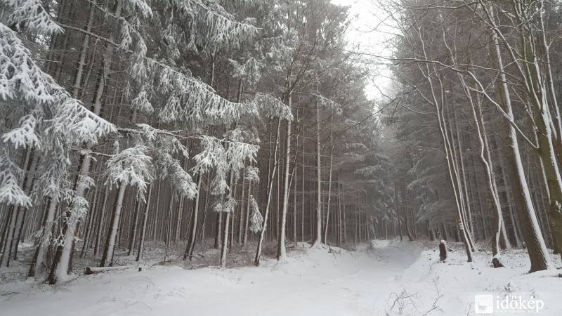 2016.03.07. Kőszegi-hegység