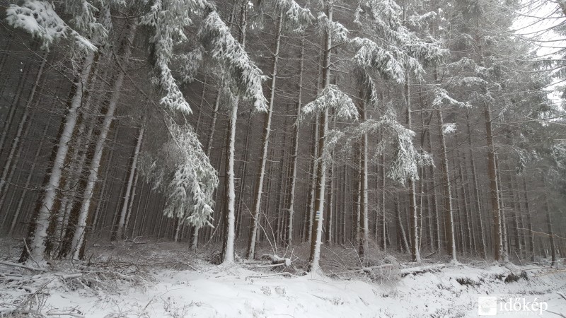 2016.03.07. Kőszegi-hegység