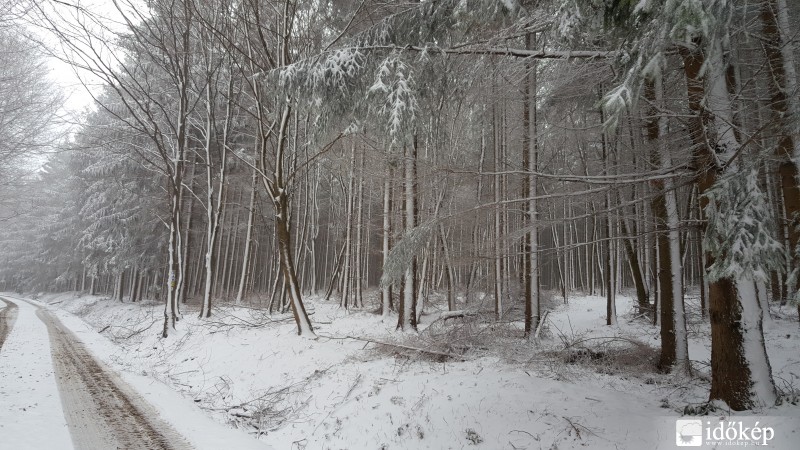 2016.03.07. Kőszegi-hegység