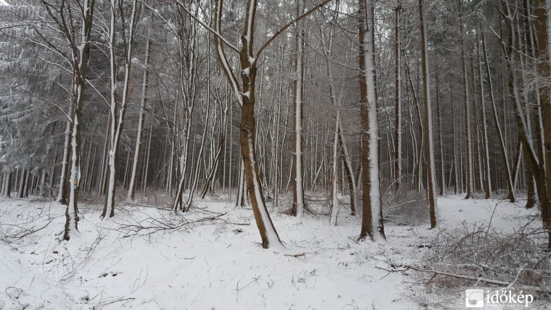 2016.03.07. Kőszegi-hegység