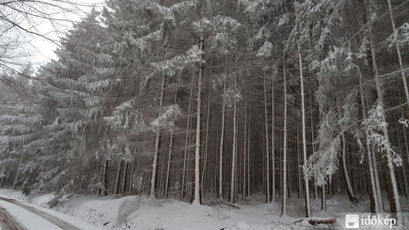 2016.03.07. Kőszegi-hegység