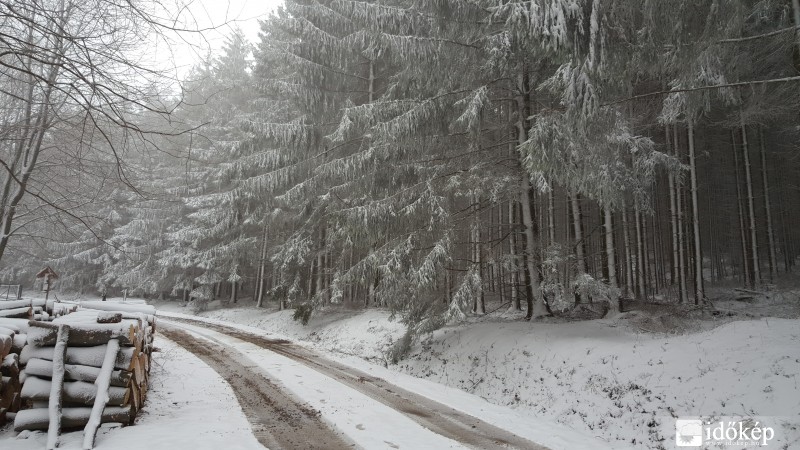 2016.03.07. Kőszegi-hegység