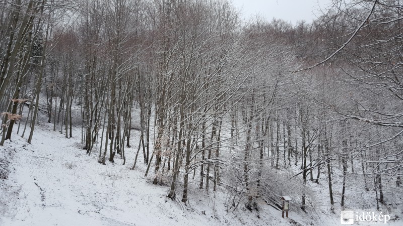 2016.03.07. Kőszegi-hegység