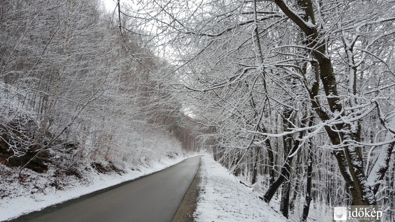 2016.03.07. Kőszegi-hegység