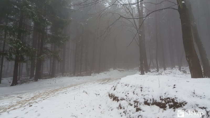 Kőszegi hegység 2016.03.13.