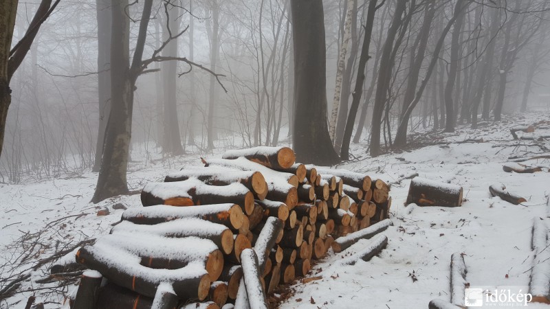 Kőszegi hegység 2016.03.13.