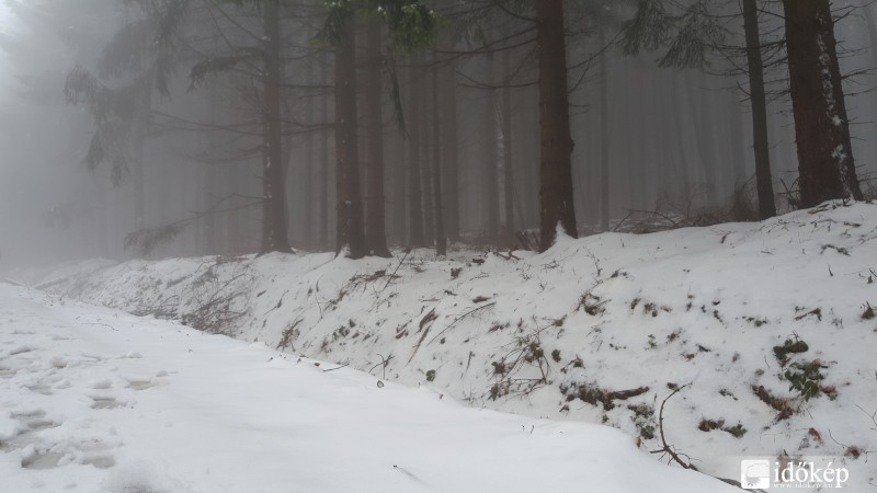 Kőszegi hegység 2016.03.13.