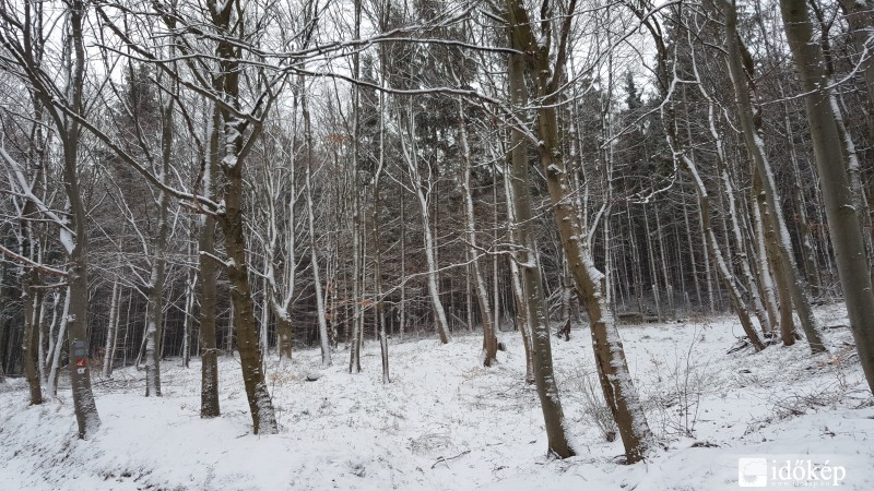 Kőszegi-hegység 2016.03.15.