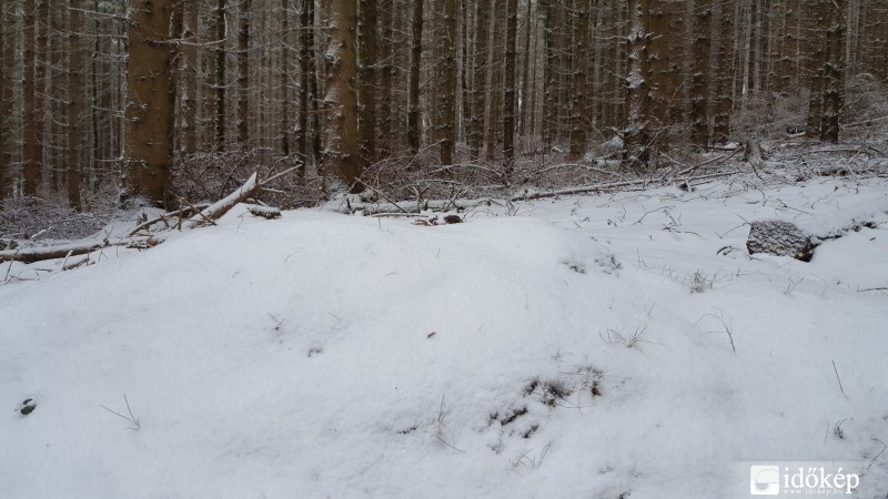 Kőszegi-hegység 2016.03.15.